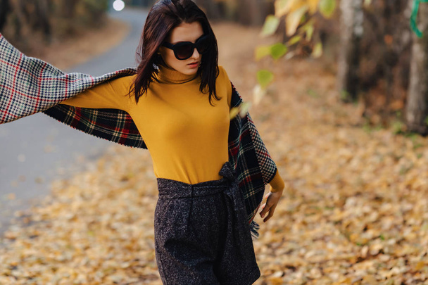 cozy stylish young girl walk at autumn colorful park in sunglasses alone - Fotografie, Obrázek