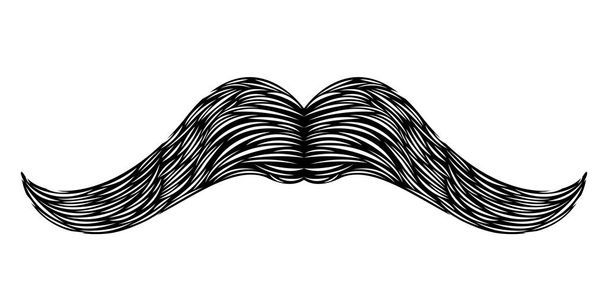 Isolated detailed mustache - Vector, Image