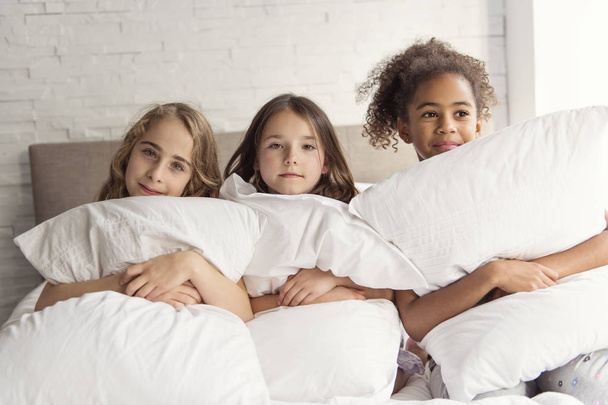 group of tree friends taking goog time on bed - Photo, image