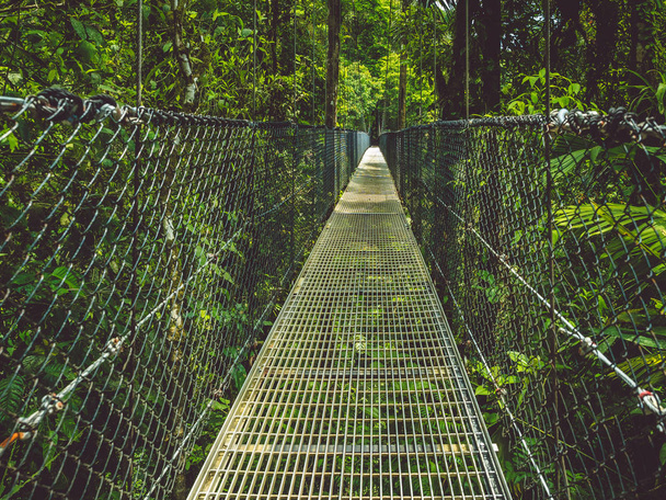 Face his fear on a suspension bridge in the rainforest - Photo, Image