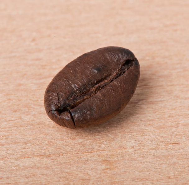 Graine de café
 - Photo, image