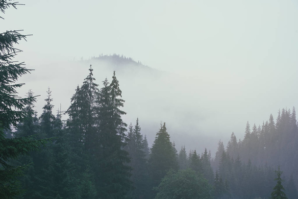 霧深い山の風景 - 写真・画像