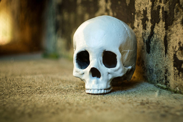 Crâne effrayant Halloween sans mâchoires avec fond de rue texturé
  - Photo, image