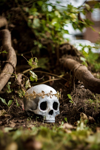 Crânio esqueleto humano de rei ou rainha usando coroa de folha de ouro real - Foto, Imagem