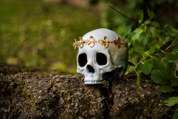 Ludzki szkielet czaszki króla lub królowej w królewskiej złotej koronie liści - Zdjęcie, obraz