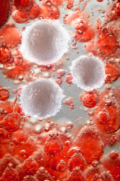 Gezonde menselijke rode en witte bloedcellen in macro wetenschap afbeelding - Foto, afbeelding