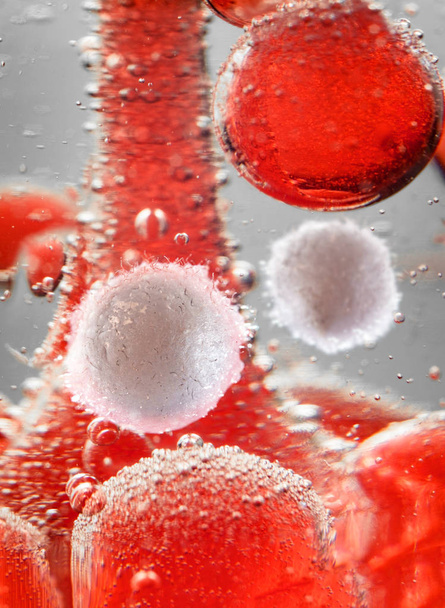 gesunde menschliche rote und weiße Blutkörperchen im makrowissenschaftlichen Bild - Foto, Bild