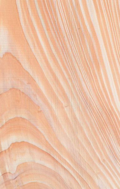  Töredék fa panelek felülnézet - Fotó, kép