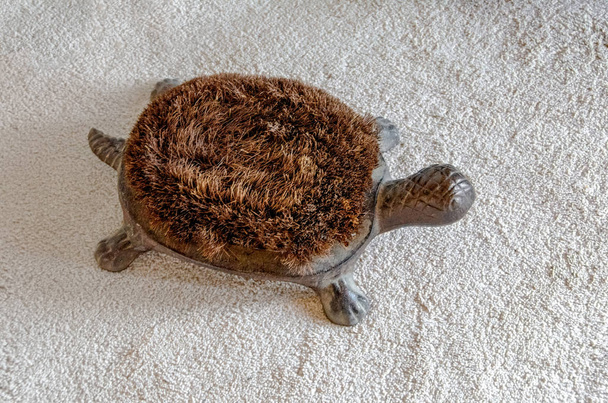 ayakkabı beyaz halı temizleme için kaplumbağa fırça - Fotoğraf, Görsel