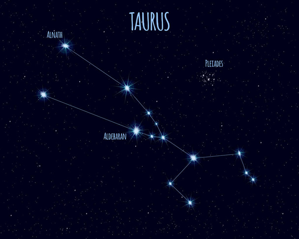 Constelación de Tauro (El Toro), ilustración vectorial con los nombres de estrellas básicas contra el cielo estrellado - Vector, Imagen