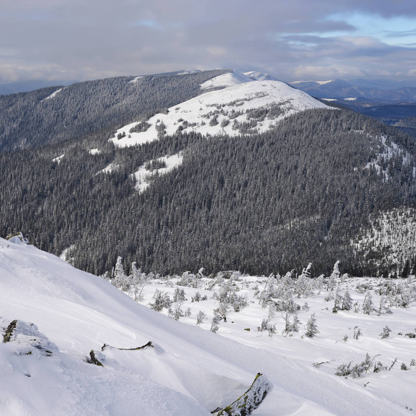 Winter op een heuvel in een berglandschap - Foto, afbeelding