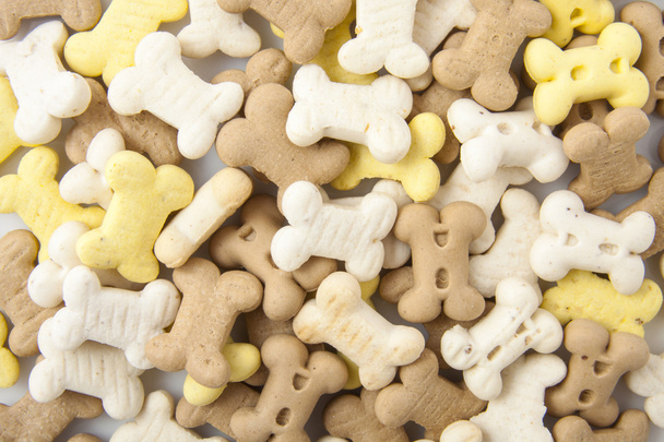 Dog cookies - Photo, image