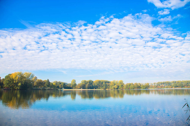 Syksyn maisema. Järvi syysmetsässä. Sininen taivas valkoisilla pilvillä heijastuu järven veteen. Syksyn luontotausta
. - Valokuva, kuva