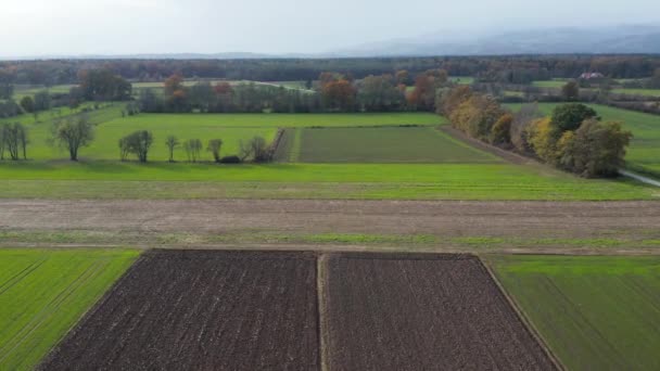Vista aérea de la campiña del este de Eslovenia con campos, bosques y setos, setos que dividen campos y prados
 - Imágenes, Vídeo