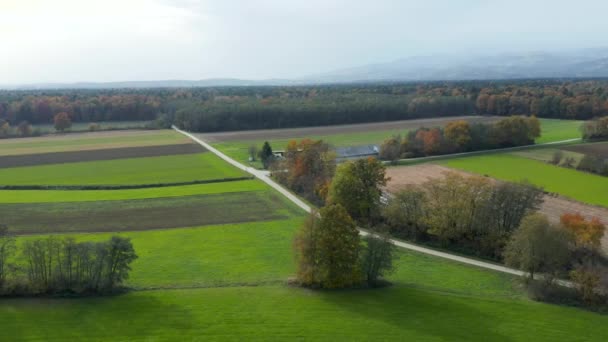 Vista aérea de la campiña del este de Eslovenia con campos, bosques y setos, setos que dividen campos y prados
 - Imágenes, Vídeo