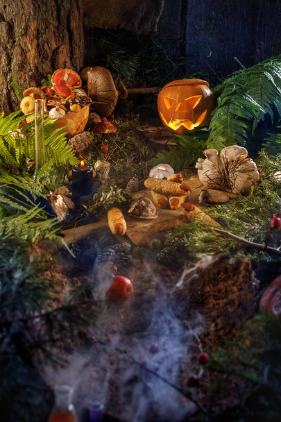 Glowing ominous pumpkin Jack in a fairy forest. Halloween still life. - Fotografie, Obrázek