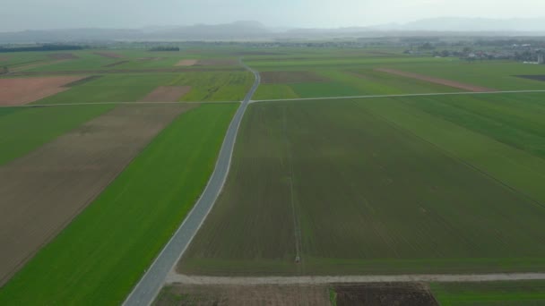 ländliche Landschaft Ostsloweniens, Ebene des Flusses Drau, panonische Ebene, traditionelle kleine Felder - Filmmaterial, Video