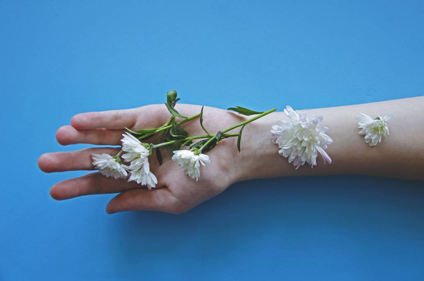 Bright contrast makeup. Creative beauty of a photo of girls, a photo of hands of girls with white flowers - Photo, image