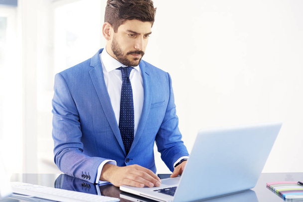 Portrait of young businessman working on laptop at the office desk.  - Fotografie, Obrázek