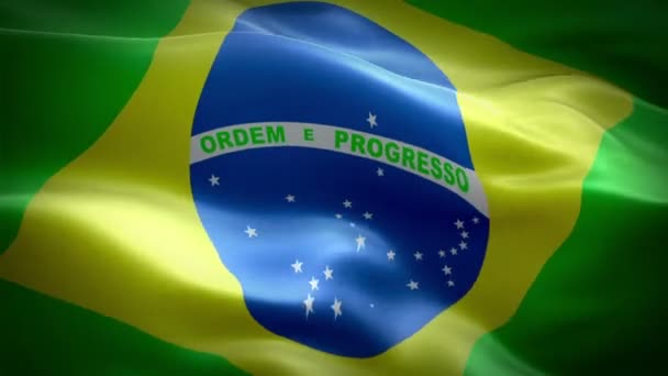 Brésil drapeau vidéo agitant dans le vent. Fond réaliste drapeau brésilien. Brésil Drapeau Boucle Gros plan 1080p Full HD 1920X1080 séquences. Brésil Drapeaux de pays européens de l'UE / Autres drapeaux HD disponibles
 - Séquence, vidéo