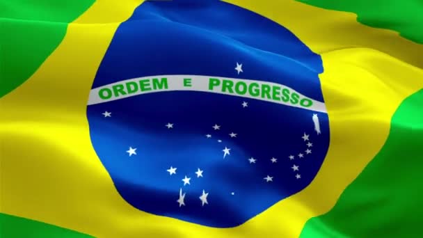 Drapeau brésilien agitant dans le vent vidéo Full HD. Fond réaliste drapeau brésilien. Brésil Drapeau Boucle Gros plan 1080p Full HD 1920X1080 séquences. Brésil Drapeaux de pays européens de l'UE Full HD
 - Séquence, vidéo