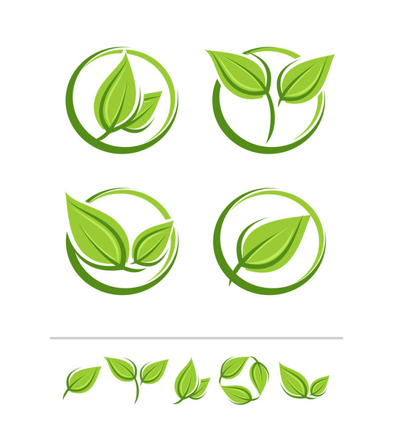 Set of leaves labels and elements set. Vector - Vettoriali, immagini