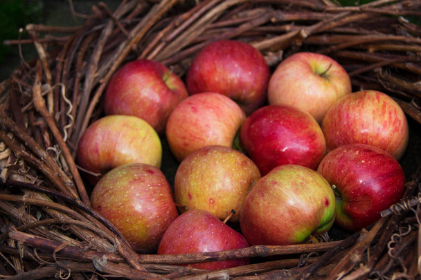 Frische Äpfel im Nest auf Beton - Foto, Bild