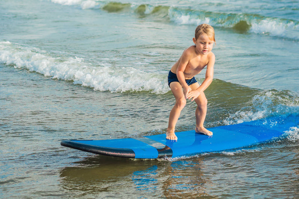 Little boy learning to surf on blue board at tropical beach. - 写真・画像