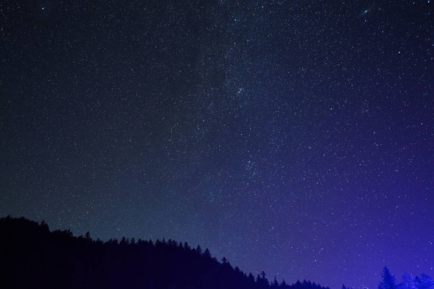 starry sky above the forest in the mountains - Fotografie, Obrázek
