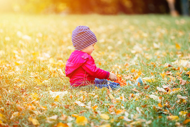 2 years old toddler have fun outdoor in autumn yellow park - 写真・画像