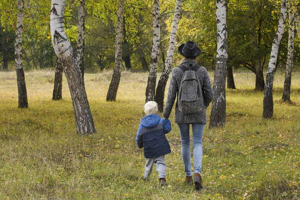 Mom and son are walking in the autumn forest. View from the back - Фото, зображення