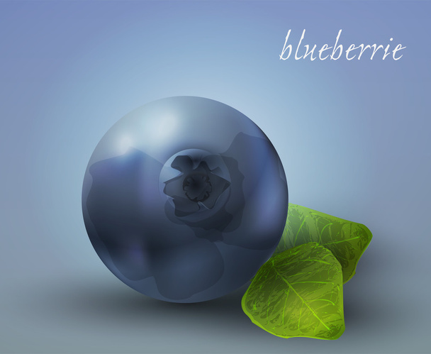 fresh Blueberries. Vector illustration. - Vector, Image