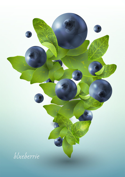 Splash of blueberries. Vector illustration. - Vector, Image