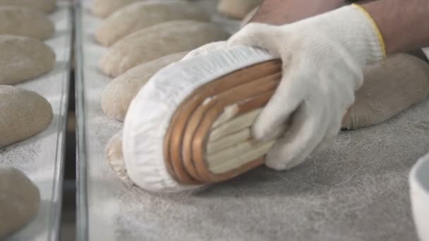Proces pečení chleba v pekárně - Záběry, video