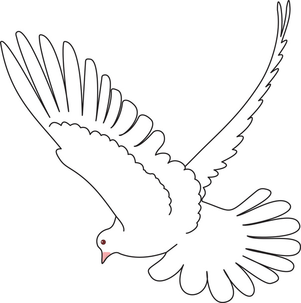 Dove vector - Вектор,изображение