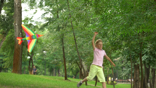 Happy boy launching kite in park, leisure activity outdoors, carefree childhood - Video