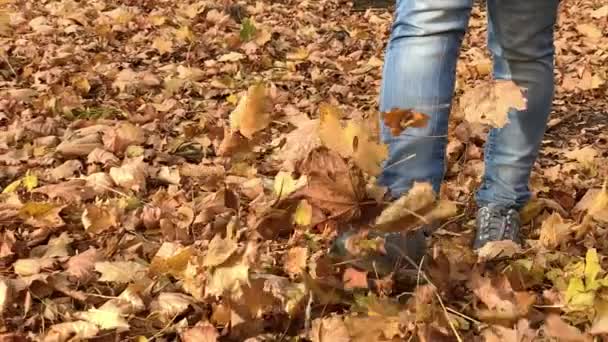 秋の公園で歩いている女性の足 - 映像、動画