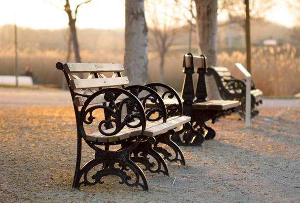 ławka w parku - Zdjęcie, obraz