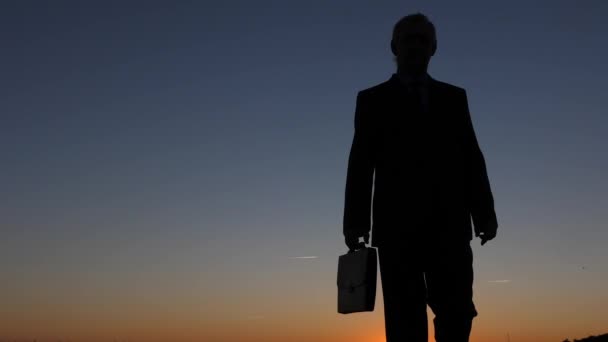 silhouette di uomo d'affari con valigetta che cammina al tramonto, contro un cielo blu
 - Filmati, video