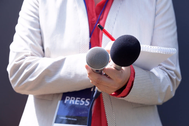 Ženské novináře na tiskové konferenci, psaní poznámek, drží mikrofon - Fotografie, Obrázek