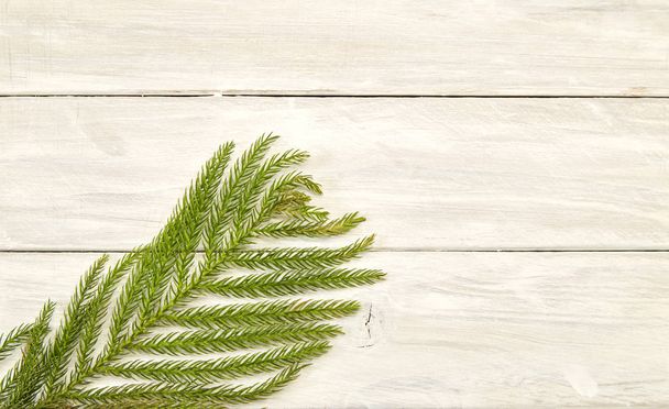 2019 Рождественская композиция с рамкой еловых ветвей. Плоский, вид сверху
 - Фото, изображение