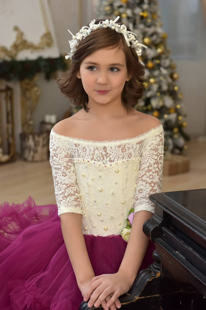 portrait of a cute girl in christmas - Fotografie, Obrázek