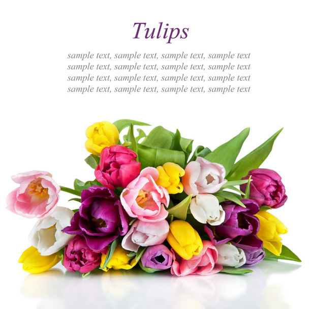 Красивый букет тюльпанов на белом фоне - Фото, изображение