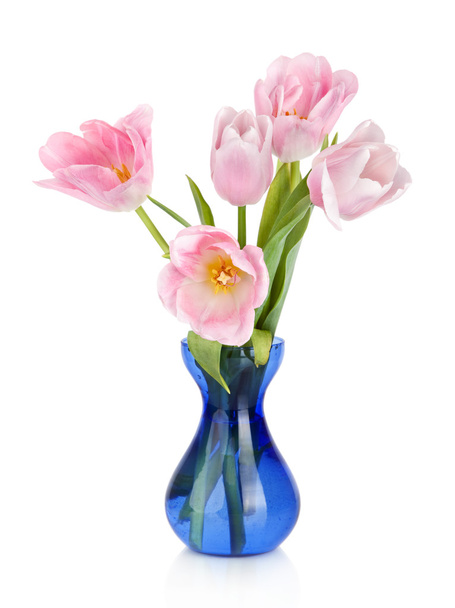 Tulips Flowers in blue vase isolated on white - Foto, Bild