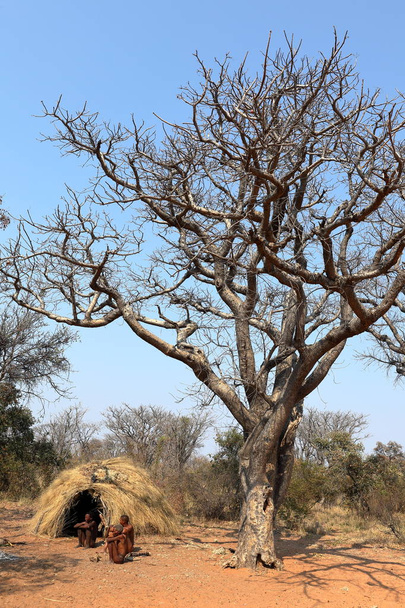 Dorf der san in namibia - Foto, Bild
