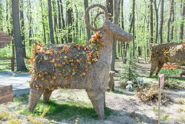 The scenery in the form of a ram from straw adorns the spring park. - Photo, Image