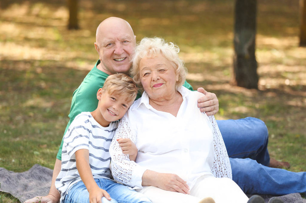 Happy elderly couple with grandson in park - Fotó, kép