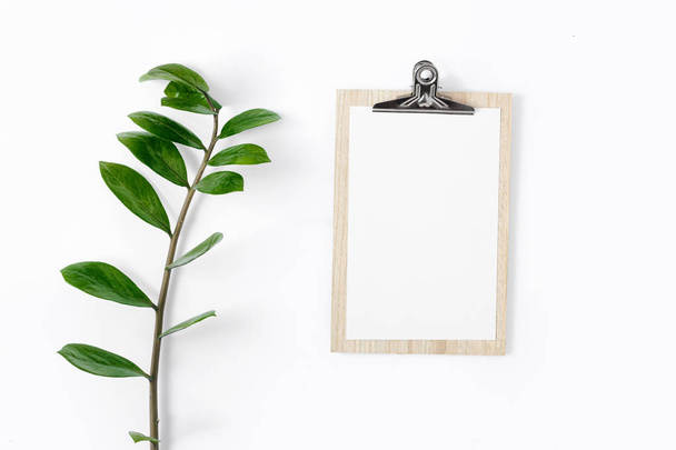 Clipboard with zamioculcas branch on white background top view flat lay - Foto, afbeelding