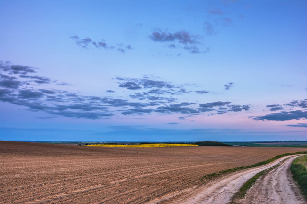Evening rural landscape - blue sky with clouds at sunset over plowed fields and dirt road. - Foto, imagen