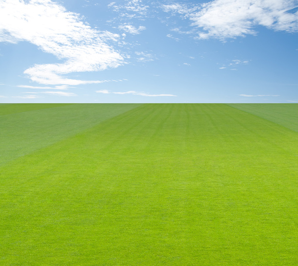 Campo verde sotto il cielo blu con nuvole - Foto, immagini
